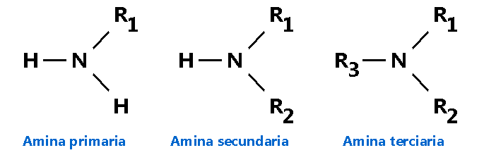 Amina Primaria Secundaria Terciaria Nomenclatura Aminas Qu mica