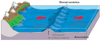 Dorsal Oceánica